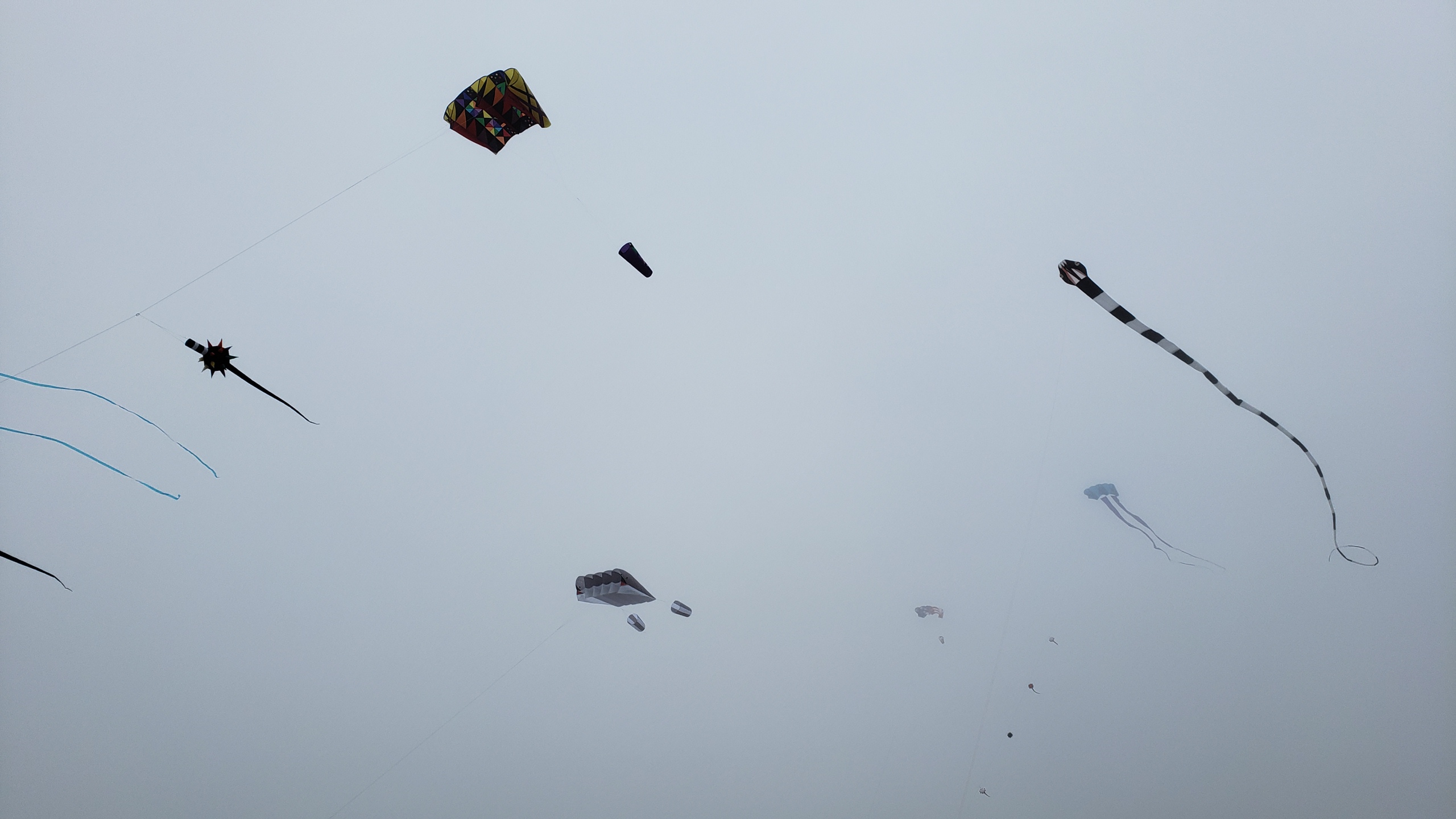 Kites Flying on Foggy Day